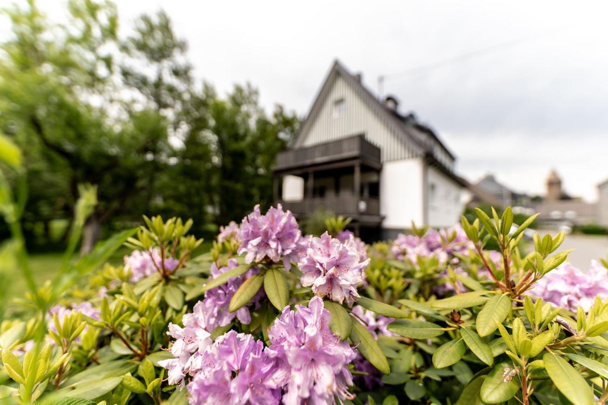 Ferienwohnung Haus An Der Lenne レンネシュタット エクステリア 写真